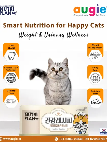 This Nutriplan Healthy Recipe is designed for total wellness. It helps with weight management and urinary care, plus it includes a patented ingredient called Stay-C to support your cat's oral health.