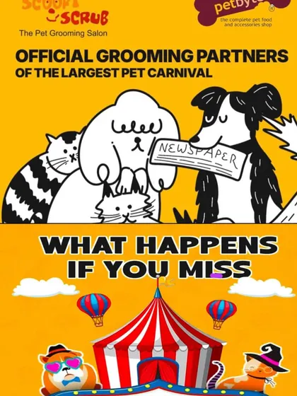 We love giving pet parents options for fun. On this day, we were partners at three different events across Delhi and Noida, from carnivals to cat shows.