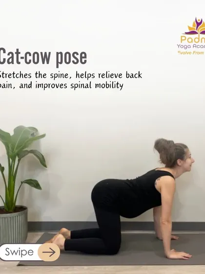 Cat-Cow Pose is perfect for relieving back pain during pregnancy and improving spinal mobility.