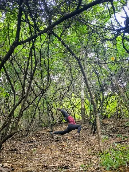 A dynamic lunge in the middle of a forest. The tangled branches all around feel like a metaphor for life's complexities, and the pose is a moment of finding clarity within it.