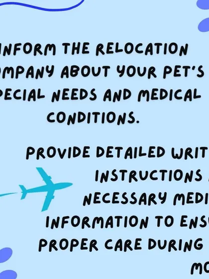If your pet has special needs or medical conditions, it is vital to inform us. Providing detailed written instructions and medical information ensures we can provide the proper care during the move.