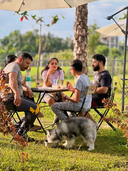 A family enjoying snacks at our cafe while their husky explores nearby. It's a setup that works for everyone.