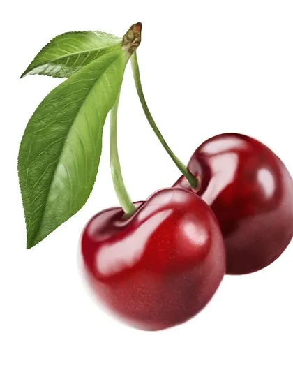 A realistic digital painting of cherries. This piece was all about practice, focusing on how to create the shiny, reflective surface of the fruit to make it look three-dimensional.