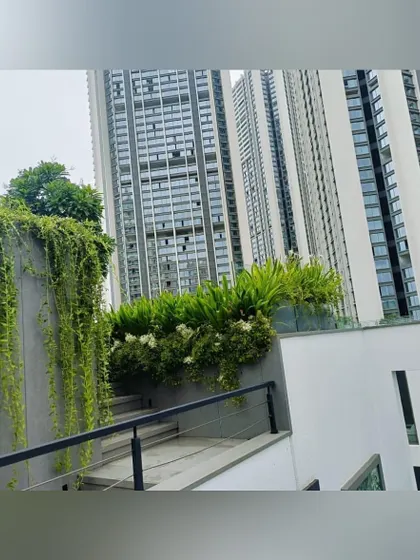 Cascading vines create a living green wall on this multi-level rooftop. This vertical gardening technique softens the modern architecture and adds a dramatic touch of nature against the backdrop of high-rise buildings.