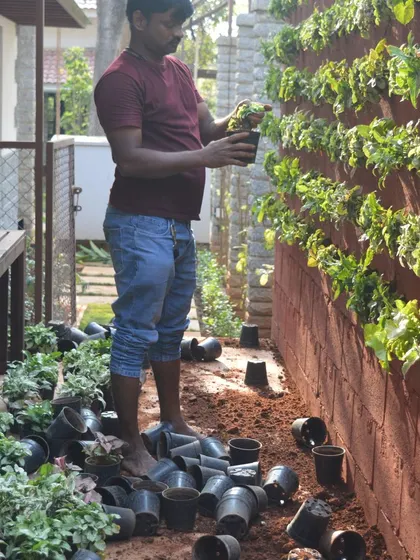 This is me in my element, getting the job done. Here you can see the process of installing a vertical garden, carefully placing each plant to create the final design.