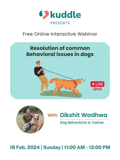 This graphic announces my free online masterclass on resolving common behavioral issues. These sessions are interactive, allowing you to ask questions and get personalized advice for your specific challenges.
