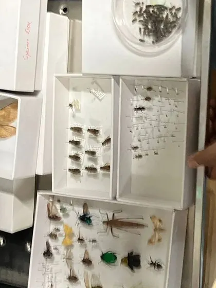 A collection of moments from our various hands-on science activities, showing children deeply engaged in learning through doing.