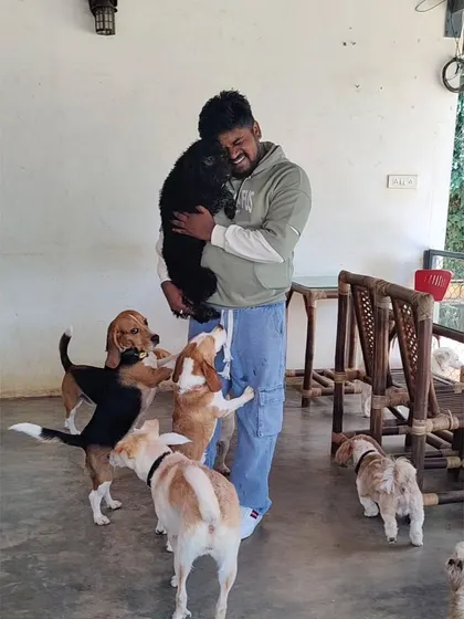A visitor is all smiles as he hugs a black dog while a pack of curious Beagles gathers around his feet.