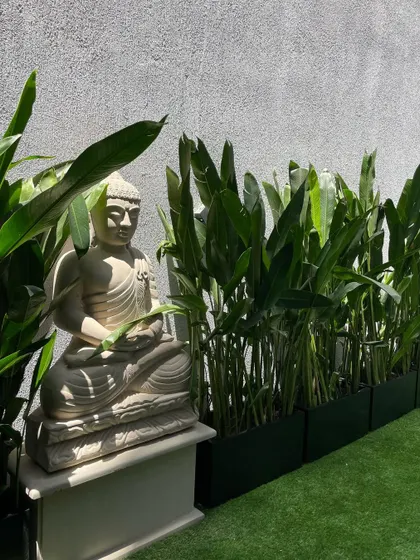 A serene corner from a recent Gurgaon project. The Buddha statue is perfectly complemented by the tall Heliconia plants in sleek black FRP planter boxes.