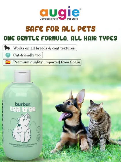 This gentle formula is safe for all pets and all hair types. It works on all breeds and coat textures and is cat-friendly too. It's a premium quality product imported from Spain.
