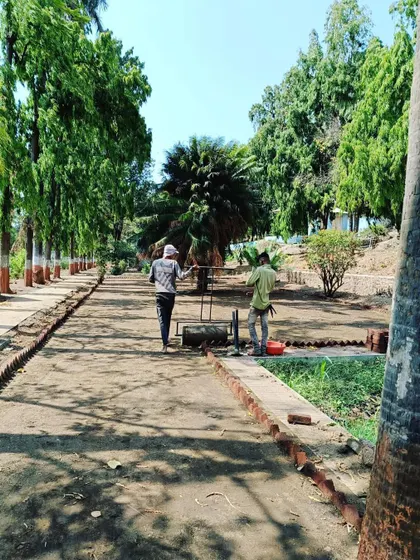 Using a roller to level the ground, a critical step before laying the turf to ensure a smooth, even lawn surface.