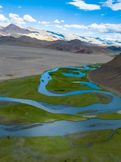A river snakes through a green valley in Ladakh, a rare burst of life in the high-altitude desert. This aerial photo highlights the surprising diversity of the Ladakhi landscape.