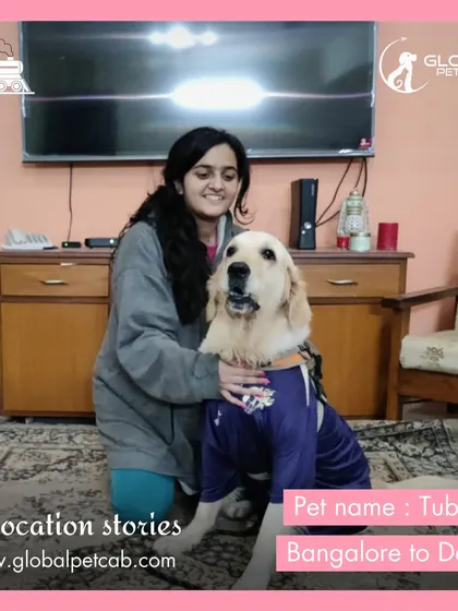 Tubby the Golden Retriever is all set for his move from Bangalore to Delhi. Here he is with his family, ready for a comfortable journey in their pre-booked train coupe.