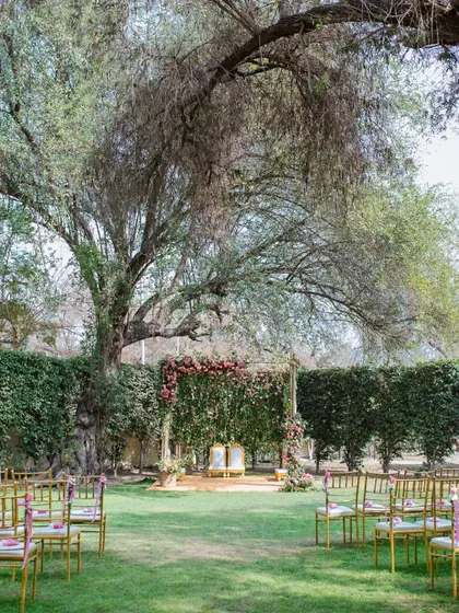 The serene and beautiful garden mandap setup for an intimate daytime wedding.