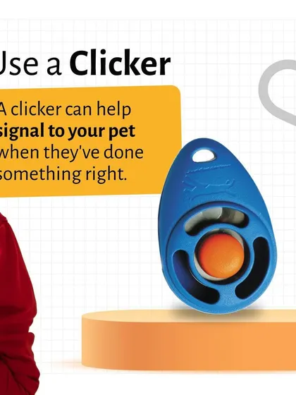 Using a clicker helps your pet understand precisely what they did right. We show you how this simple device can speed up learning and strengthen the bond between you and your pet during training sessions.