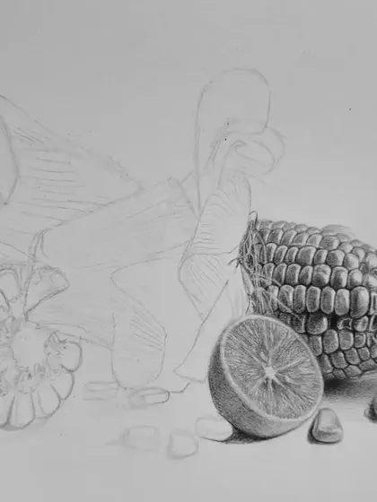 The corn drawing in progress, with one part fully rendered to show the contrast with the initial sketch.