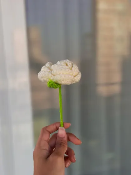 A single white crochet rose, held up to the light. Unlike real flowers, this one will never die, making it a timeless gift for Valentine's, Galentine's, or any day you want to show some love.