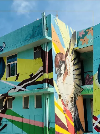This collage showcases the variety of birds painted on the Sector 50 building, including a sparrow and a peahen, creating a rich and diverse natural scene.