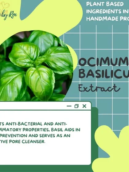 More on the holistic benefits of Basil. Beyond its skin-cleansing abilities, its aroma can help with stress relief and mental clarity.