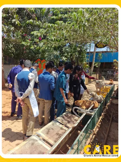 The visiting team from Taj Westend interacts with our dogs in one of the outdoor enclosures. It was a fantastic day of hands-on community service.