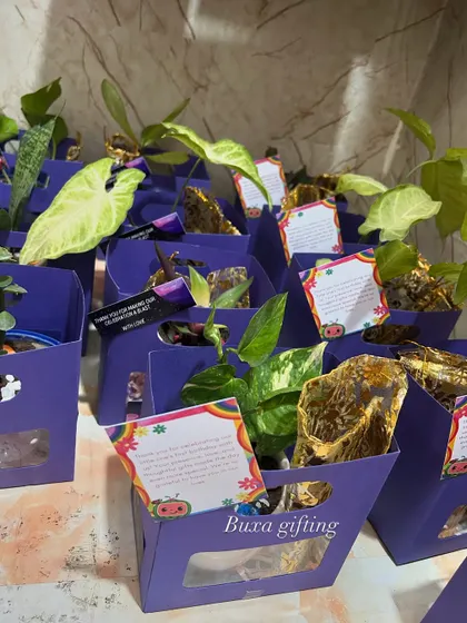 My lavender-themed sustainable and budget-friendly hampers. Starting at just ₹250, these boxes include a ceramic hexagon planter and a potli of premium dry fruits, making them perfect for bulk orders.