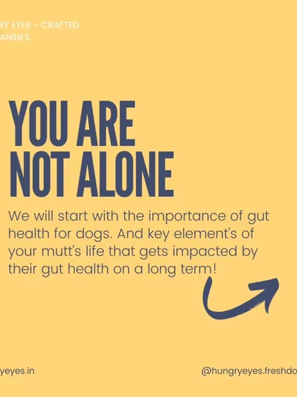 If you're feeling overwhelmed by your dog's health, you are not alone. We're here to share our knowledge and help you navigate the world of canine nutrition.