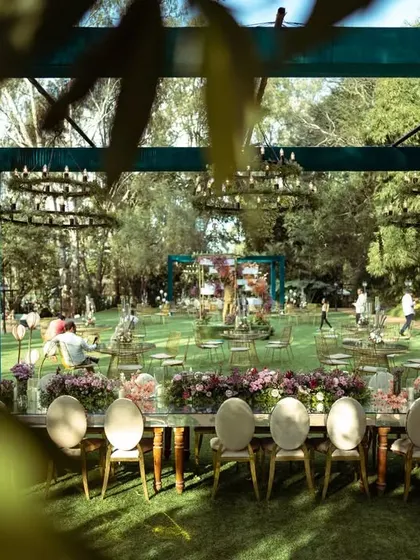 A peek through the leaves at the stunning outdoor dining setup. The long mirrored table reflects the sky and the custom-made chandeliers hanging above.