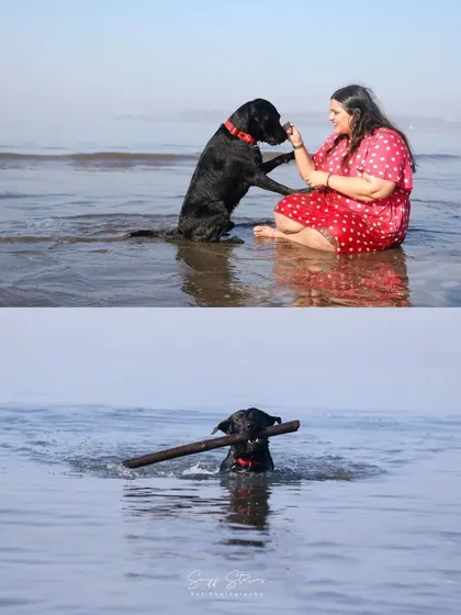 A collage showcasing a beach session. The top image shows a tender moment between the owner and her dog in the water, while the bottom shows the dog proudly fetching a stick.
