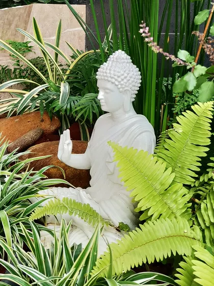 A close-up of the Buddha statue nestled among ferns and spider plants on the terrace. These small details are what make a garden feel alive and personal.