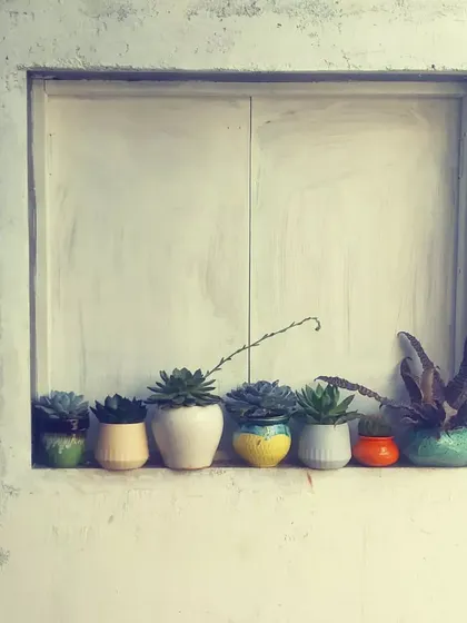 A simple lineup of succulents in colorful ceramic pots on a windowsill. This is a great way to decorate a small, sunny space.