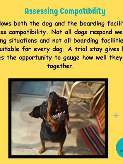 A trial stay is crucial for assessing compatibility. Not all dogs are suited for an open, social boarding environment, and this gives us a chance to see if my facility is the right fit for your dog's temperament.
