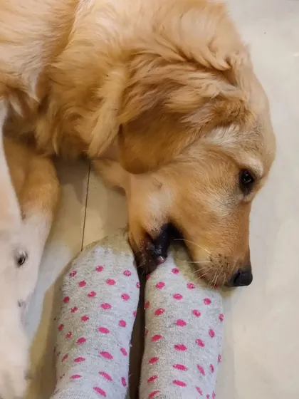 A gentle nibble on my feet from Hope. This kind of playful interaction is how we become good friends.