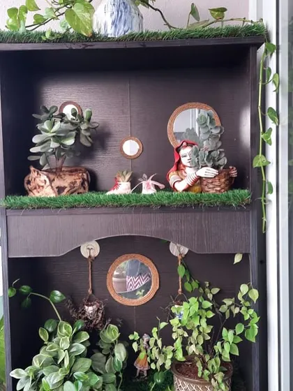 This entire setup was created by repurposing an old closet. The shelves now act as a display for succulents and other small plants, creating a charming and whimsical garden nook.