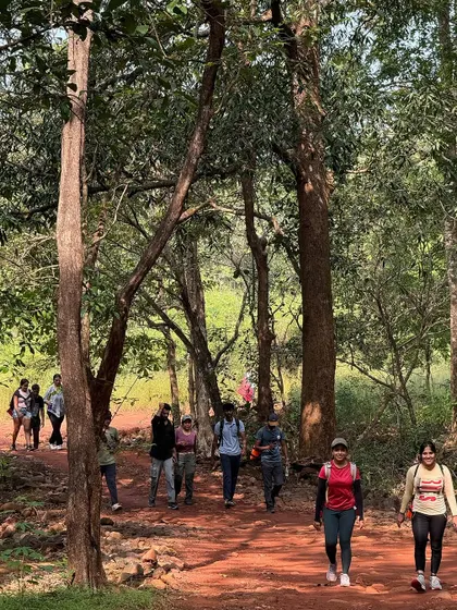 Trekking through the forest trail on our way to the magnificent Dudhsagar falls.