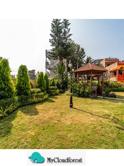 In this large yard, I installed a wooden gazebo as a focal point and destination. The surrounding lawn is shaped with curved garden beds and conical shrubs, creating a classic, park-like setting.