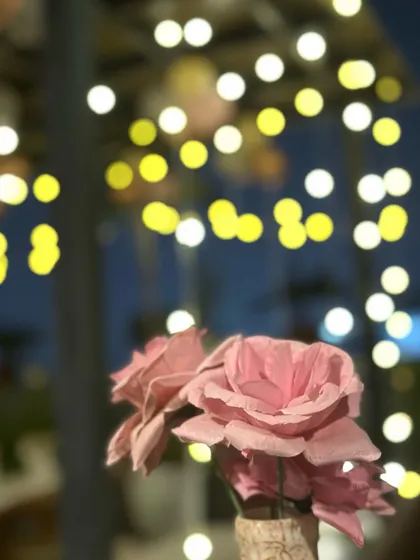 A simple, artistic shot of pink paper roses against a background of blurred fairy lights. This captures the dreamy, aesthetic vibe of my rooftop venue at night.
