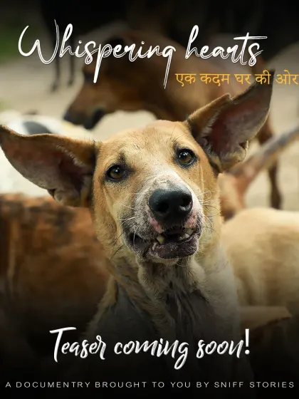 A powerful poster for my documentary "Whispering Hearts," featuring a hopeful rescue dog, aiming to give a voice to shelter animals.