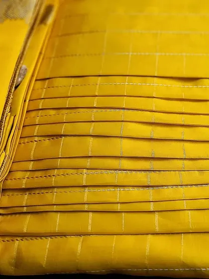 The back view of the box-folded saree, showing how the pallu is secured.