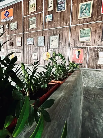 At this commercial project, we used low-maintenance ZZ plants in a built-in planter to complement the rustic, industrial aesthetic. The plants add a touch of green without overwhelming the space, fitting perfectly between the concrete seating and wood-paneled wall.