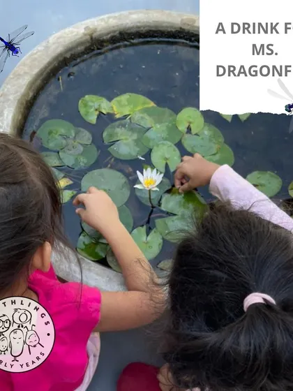 A drink for Ms. Dragonfly. We teach our littles to care for all creatures, big and small. Here, they are exploring one of our mini-ponds, which are home to fish, frogs, and visiting dragonflies.