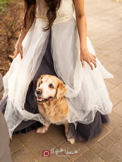 A dog finding comfort and safety under her mom's dress. This is a sweet, candid moment from the anniversary shoot.