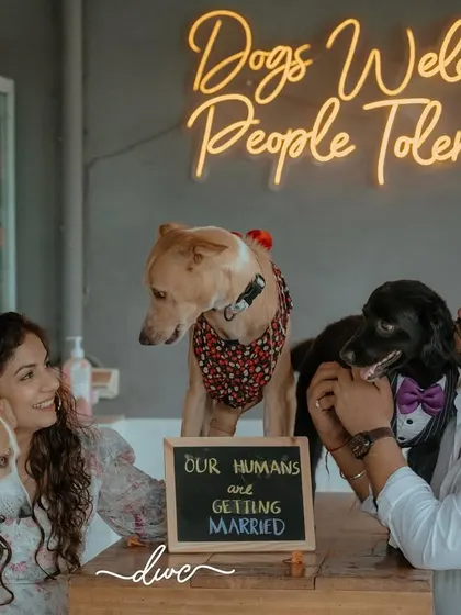 A pre-wedding shoot for the ultimate dog lovers. The couple is surrounded by their beloved pets, who are all part of this special announcement.