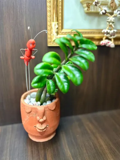 My handmade ant plant stake adds a unique chapter to your garden's story. Here it is, standing tall in a cute planter, bringing a bit of whimsy to a shelf.
