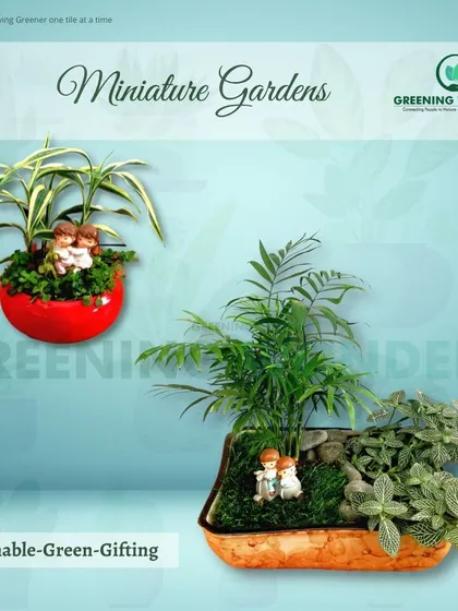 A pair of sweet miniature gardens, each with small couple figurines, making them a perfect gift for anniversaries or Valentine's Day.