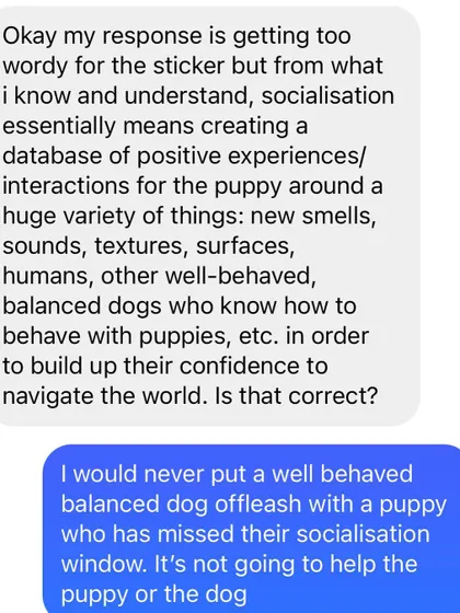 A snippet of a conversation about socialization. I would never put a well-behaved dog off-leash with a puppy who has missed their socialization window. It's not fair or effective for either of them.
