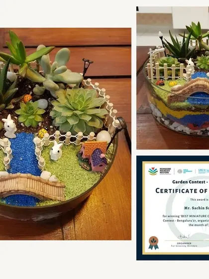 This award-winning miniature garden from our 'Garden Contest '21' features a beautiful layered sand art base, a bridge, and a variety of succulents.