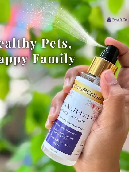 A hand holds and sprays the Ava Naturals cologne, with the mist creating a rainbow effect. This visual connects directly to our tagline: Healthy Pets, Happy Family.