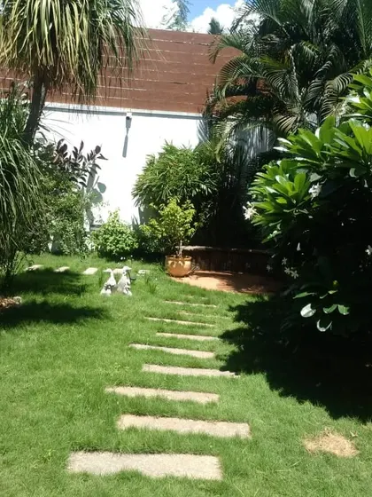 A simple stone pathway can completely change the feel of a garden. We lay these paths to create a beautiful walk through your lawn, connecting different parts of your outdoor space.