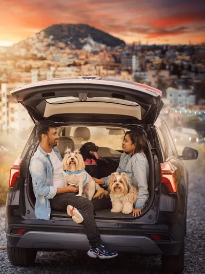If we can't go to a magical place, we'll bring the magic to us! This creative composite shot transformed a simple location into a dreamy scene for this family and their three dogs.