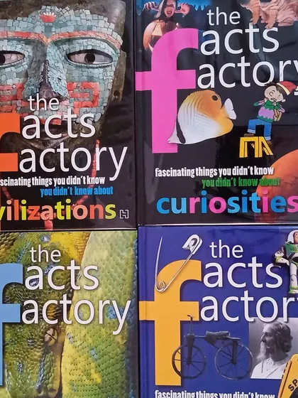 "The Facts Factory" series is packed with fascinating things you never knew about civilizations, curiosities, sports, and more. A great non-fiction read!